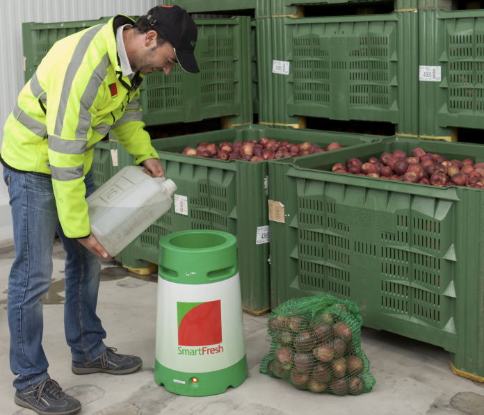 Operatore agricolo versa un liquido in un dispositivo SmartFresh per mantenere la qualità delle mele conservate in casse verdi sullo sfondo e in una retina