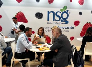 Lo stand di Nsg a Madrid