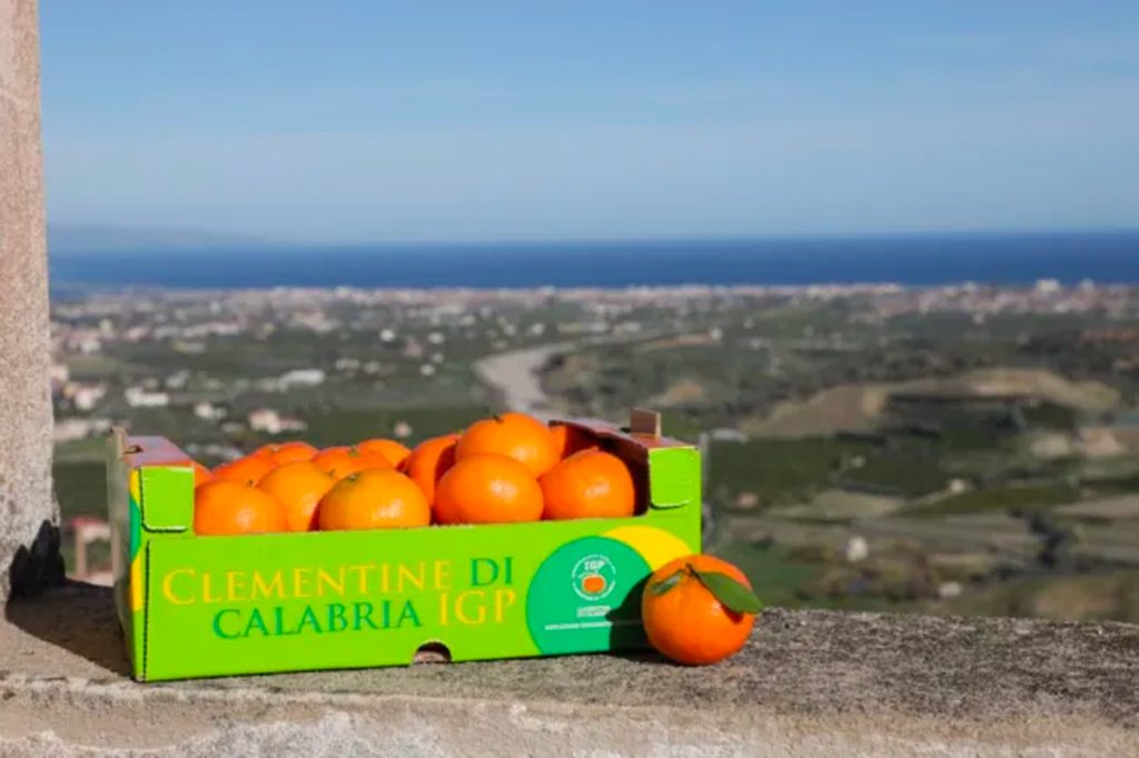 clementine calabria igp