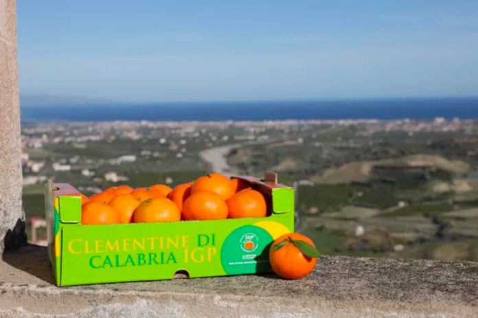 clementine calabria igp