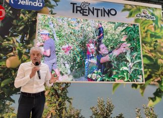 Magnani: numeri positivi per la campagna melicola 2025 per Melinda #fruitattraction