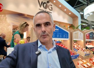 Gli anniversari di Vog nel 2025 e la ricerca della mela giusta al momento giusto