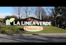 Da La Linea Verde una via d’uscita alla stasi della IV gamma