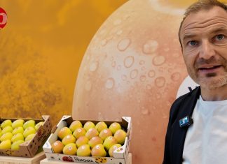 Strategie vincenti di Vip Val Venosta: dalla golden alle mele club