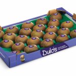Cassetta di kiwi Dulcis 100% italiano