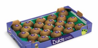 Cassetta di kiwi Dulcis 100% italiano