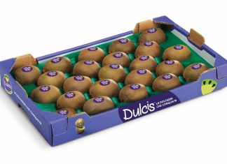 Kiwi Dulcis, al via la nuova stagione commerciale: produzione triplicata Cassetta di kiwi Dulcis 100% italiano