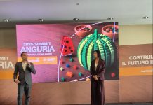 Il futuro dell’anguria si compone come un Lego