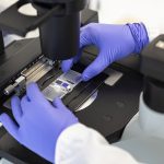 L'attività di ricerca innovativa di Amoeba (foto ©Amoeba)