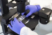 L'attività di ricerca innovativa di Amoeba (foto ©Amoeba)