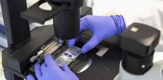 L'attività di ricerca innovativa di Amoeba (foto ©Amoeba)