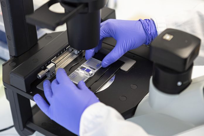 L'attività di ricerca innovativa di Amoeba (foto ©Amoeba)