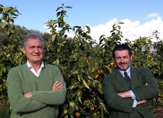 La clementina tardiva Perrina “in anticipo” a scaffale L'agronomo Francesco Perri e Marco Eleuteri, ad di Armonia (Op Melodia)