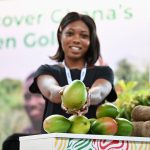 Macfrut 2026, presentazioni in Sudamerica e Sudest asiatico Macfrut rafforza la sua vocazione internazionalista, puntando sui mercati asiatici e sudamericani