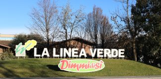 La Linea Verde è impegnata in progetti di sostenibilità sociale