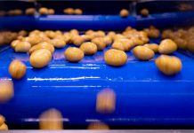 Da Naturitalia un’offerta di quarta gamma più segmentata per l’horeca Naturitalia, linea lavorazione patate nell'impianto Patfrut