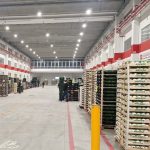 Procede il piano di rinnovamento del Mercato alimentare di Milano