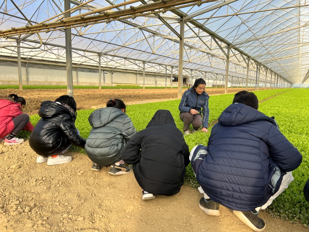 OrtoRomi Progetto scuola, dimostrazioni in campo