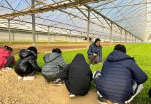 OrtoRomi porta l’educazione alimentare anche nelle scuole medie OrtoRomi Progetto scuola, dimostrazioni in campo