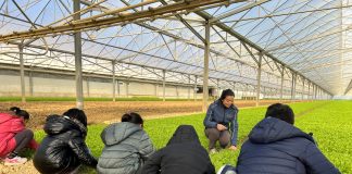 OrtoRomi Progetto scuola, dimostrazioni in campo