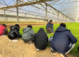 OrtoRomi porta l’educazione alimentare anche nelle scuole medie OrtoRomi Progetto scuola, dimostrazioni in campo