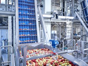 Impianto Vog Products