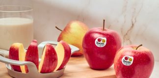 Mela Pinova Vip e cioccolato di Modica, un abbinamento del progetto Applepairing