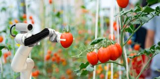 Le innovazioni tecnologiche tra i focus di Frutech 2025