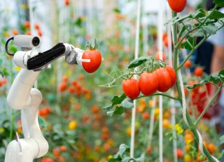 Le innovazioni tecnologiche tra i focus di Frutech 2025