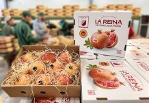 Melagrana Dop Mollar di Elche, in Spagna