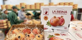 Melagrana Dop Mollar di Elche, in Spagna