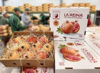 Torna la spedizione gratuita per Natale delle melagrane Dop di Elche Melagrana Dop Mollar di Elche, in Spagna