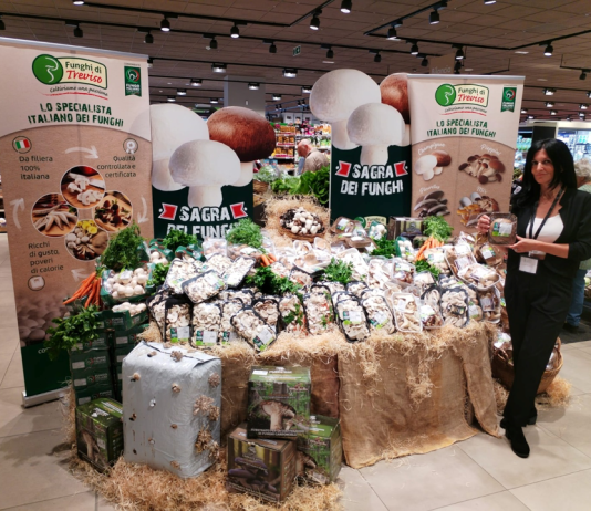 In-store promotion, esperienze e suggerimenti dei retailer – Parte 2 #Repartofresh in store promotion Dimar, Conad Decò