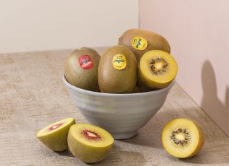 Jingold: +15% nella produzione di kiwi giallo per la stagione 2025-26 Kiwi a polpa gialla e a polpa rossa Jingold