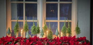 Le Stelle di Natale sono presenti sugli scaffali della moderna distribuzione organizzata (credits Stars for Europe)