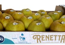 La Mela Renetta Dop di Melinda alleata della ricerca contro il cancro La confezione della Mela Renetta Dop Melinda con il simbolo di Airc
