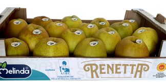 La confezione della Mela Renetta Dop Melinda con il simbolo di Airc