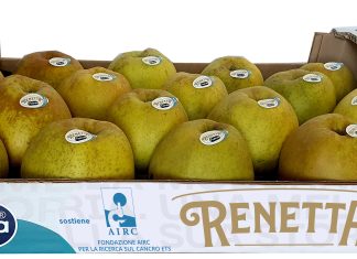La Mela Renetta Dop di Melinda alleata della ricerca contro il cancro La confezione della Mela Renetta Dop Melinda con il simbolo di Airc