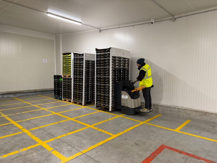 Il nuovo magazzino Montosa porta la capacità a 700 metri quadri