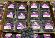 Mirtilli freschi Dole