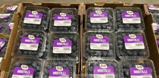 Mirtilli freschi Dole