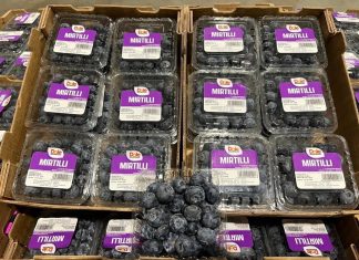 Dole Italia, un piano strategico per rispondere alla domanda di mirtilli Mirtilli freschi Dole