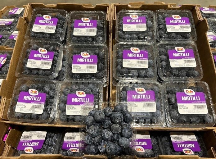 Dole_mirtilli Mirtilli freschi Dole