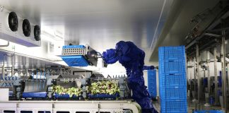 La Linea Verde produce circa 2 milioni di unità al giorno grazie a 8 siti produttivi sparsi in Europa
