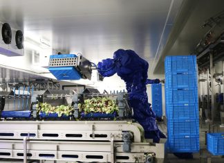 La Linea Verde produce circa 2 milioni di unità al giorno grazie a 8 siti produttivi sparsi in Europa