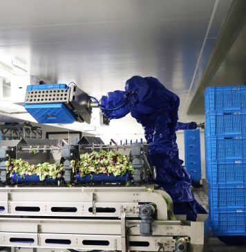 La Linea Verde apre in primavera il suo primo impianto negli Usa La Linea Verde produce circa 2 milioni di unità al giorno grazie a 8 siti produttivi sparsi in Europa