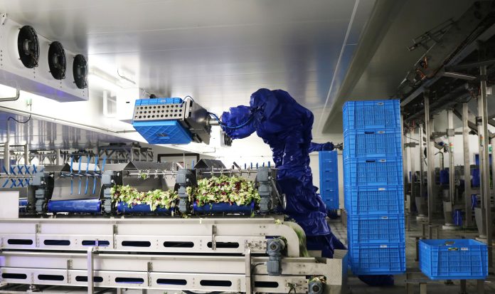 La Linea Verde produce circa 2 milioni di unità al giorno grazie a 8 siti produttivi sparsi in Europa