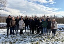 Visita nel frutteto con gli esperti di Globalgap, i rappresentanti della distribuzione tedesca e delle Op nazionali