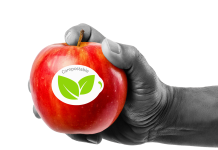 L’innovazione delle etichette compostabili per la frutta Il bollino di smaltimento compostabile sulla frutta