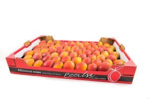 Cassetta di Albicocche Rosse della Piana di Sibari, linea Eccelsa della OP Agricor